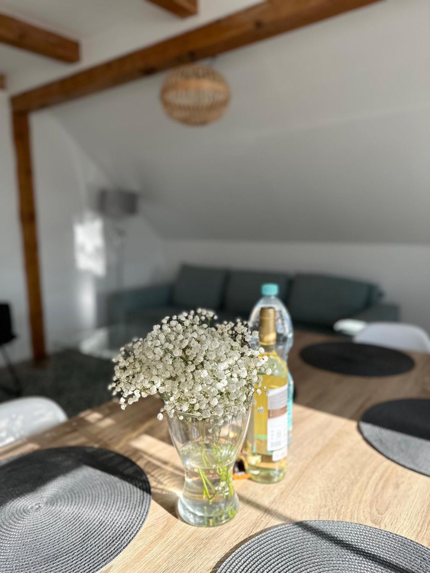 Klimatyczny apartament nr 8 z widokiem na góry Sowie Bielawa  Exterior foto
